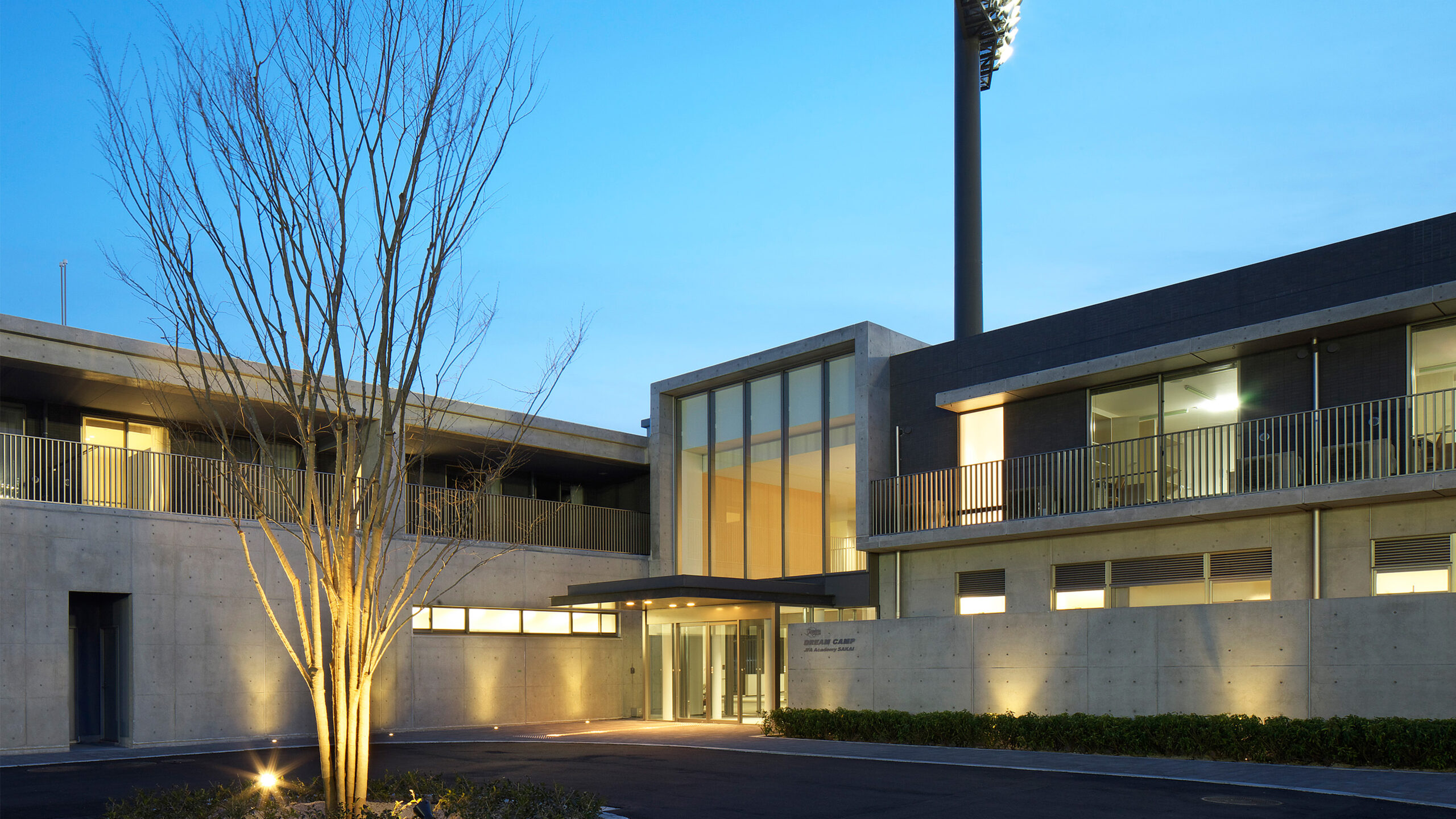 ドリームキャンプ