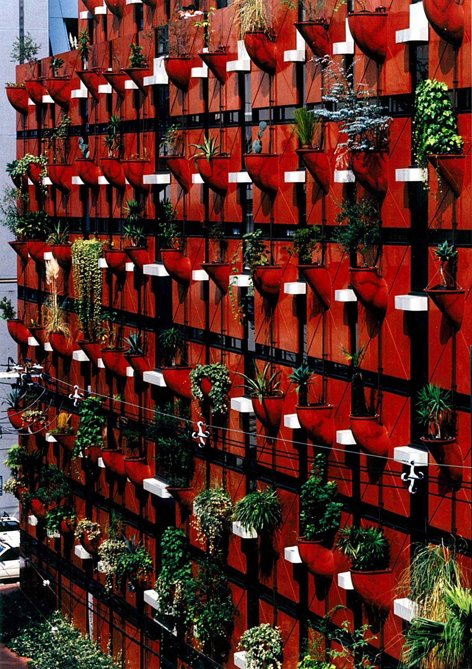 オーガニックビル 【大阪市中央区】